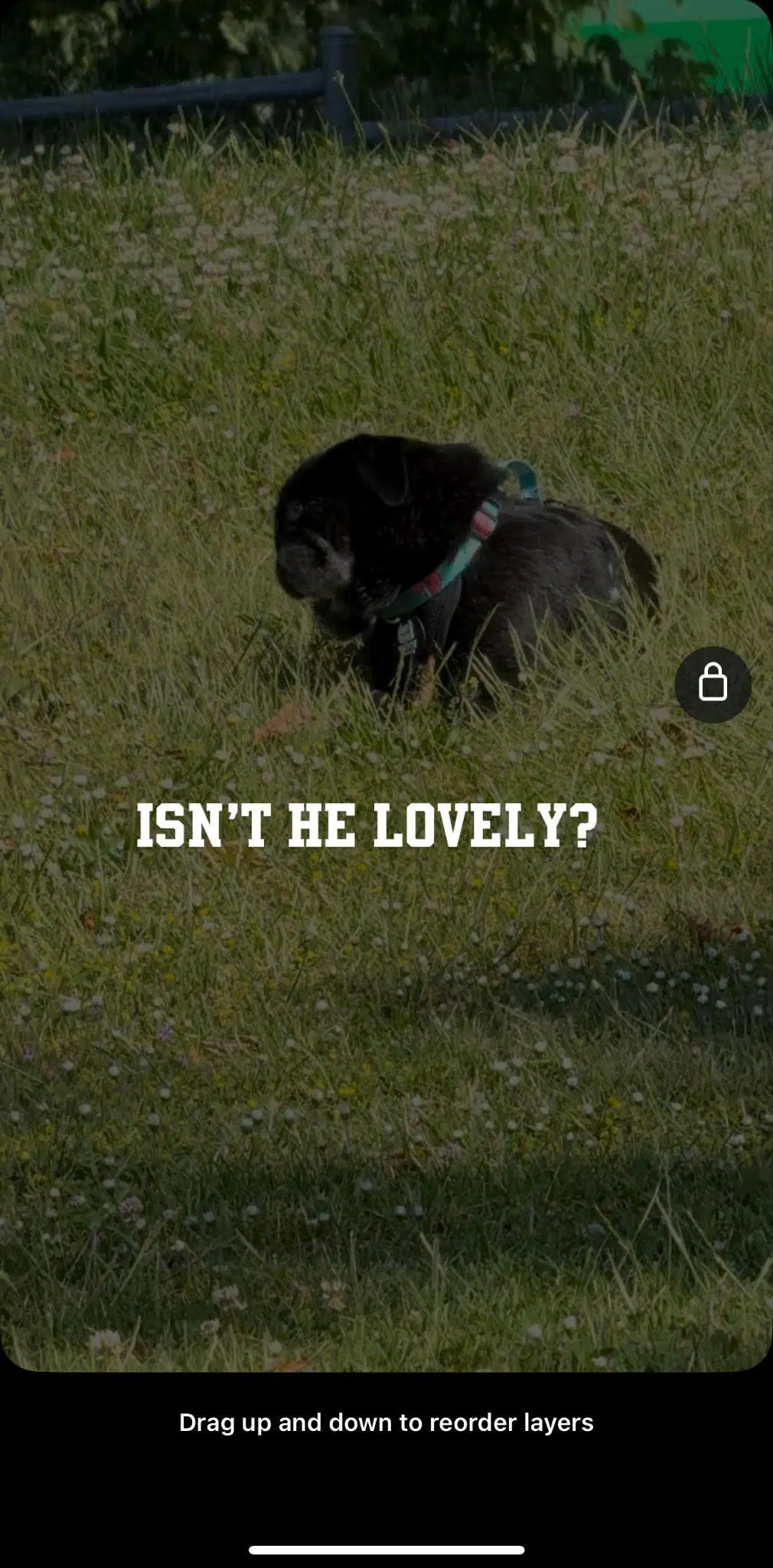 a still from an instagram story video that shows the text "isn't he lovely?" pinned to the screen