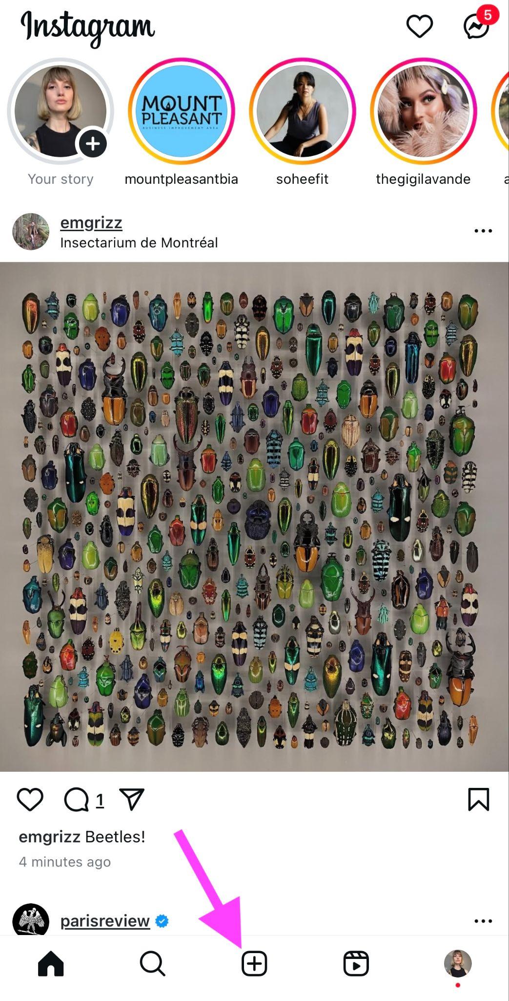 homepage of hannah macreadys instagram grid showing stories and posts from people she follows with a pink arrow pointing to the post button on the bottom middle of the screen