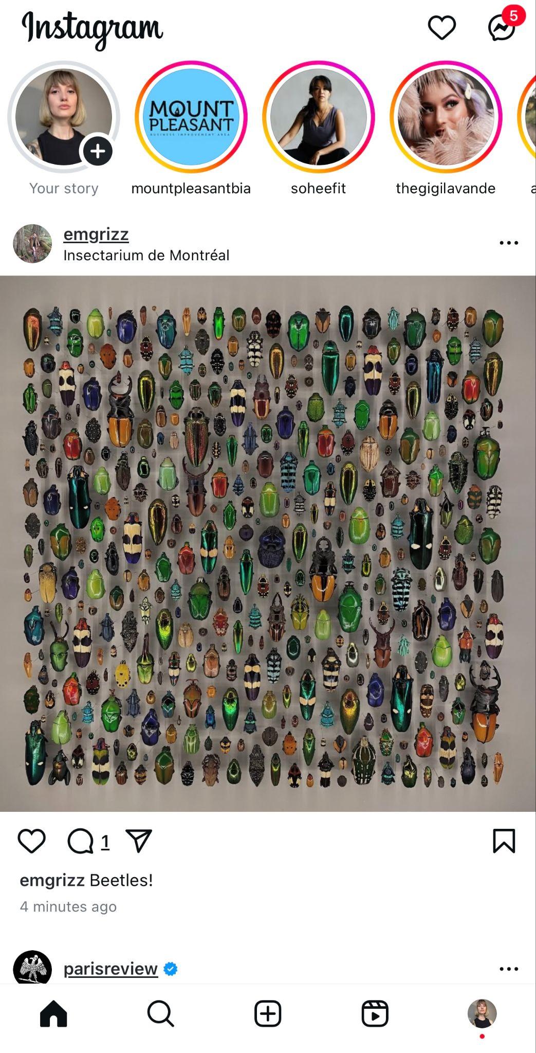 homepage of hannah macreadys instagram grid showing stories and posts from people she follows