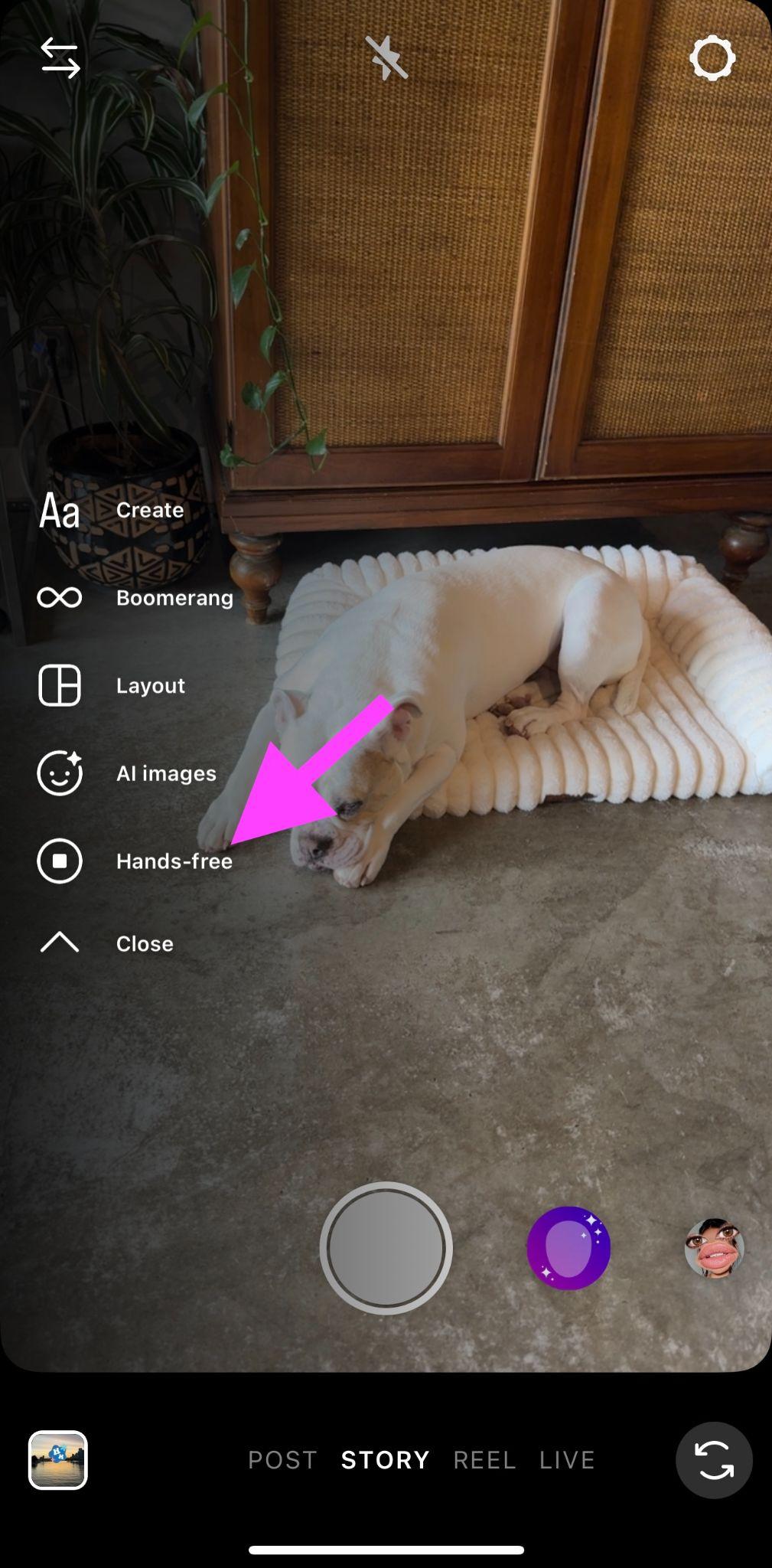 instagram story camera with pink arrow pointing to the hands-free button on the left of the screen