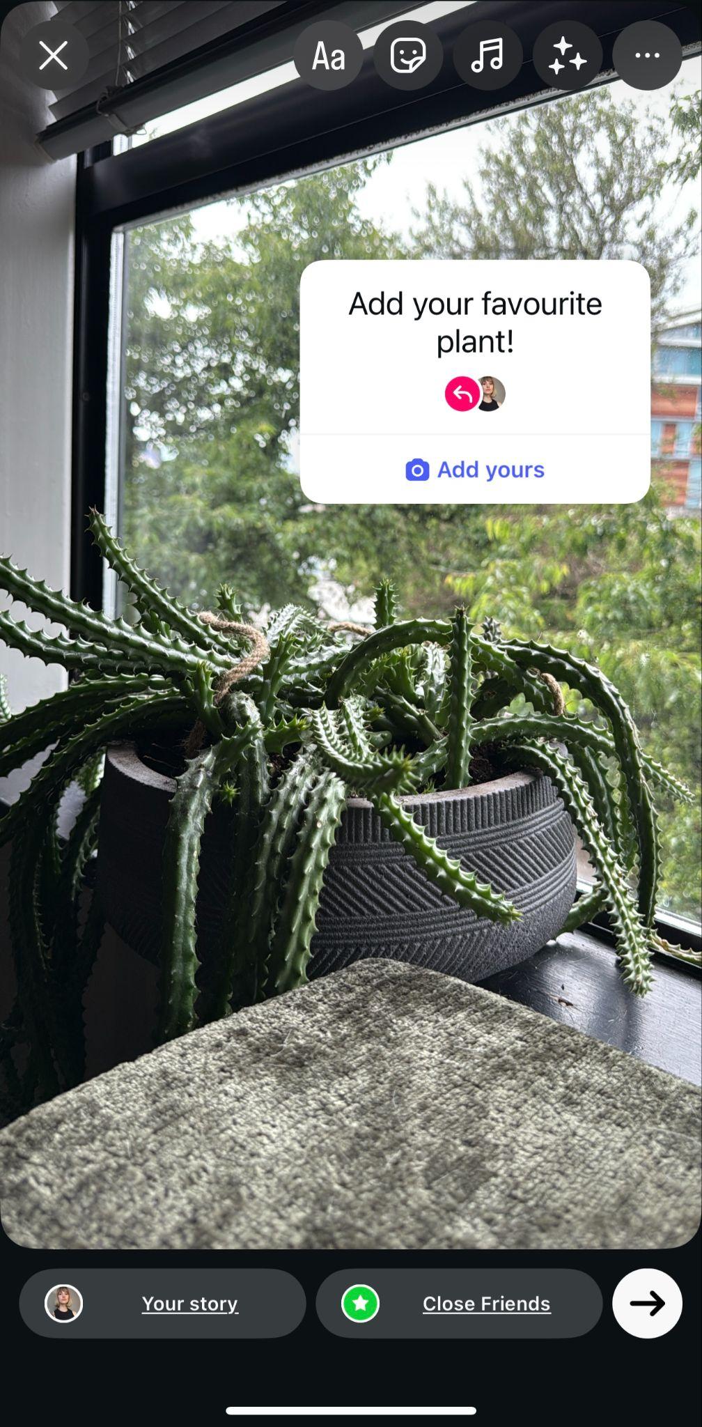 instagram story showing a christmas cactus in a window with an "add yours" sticker that reads "add your favourite plant"