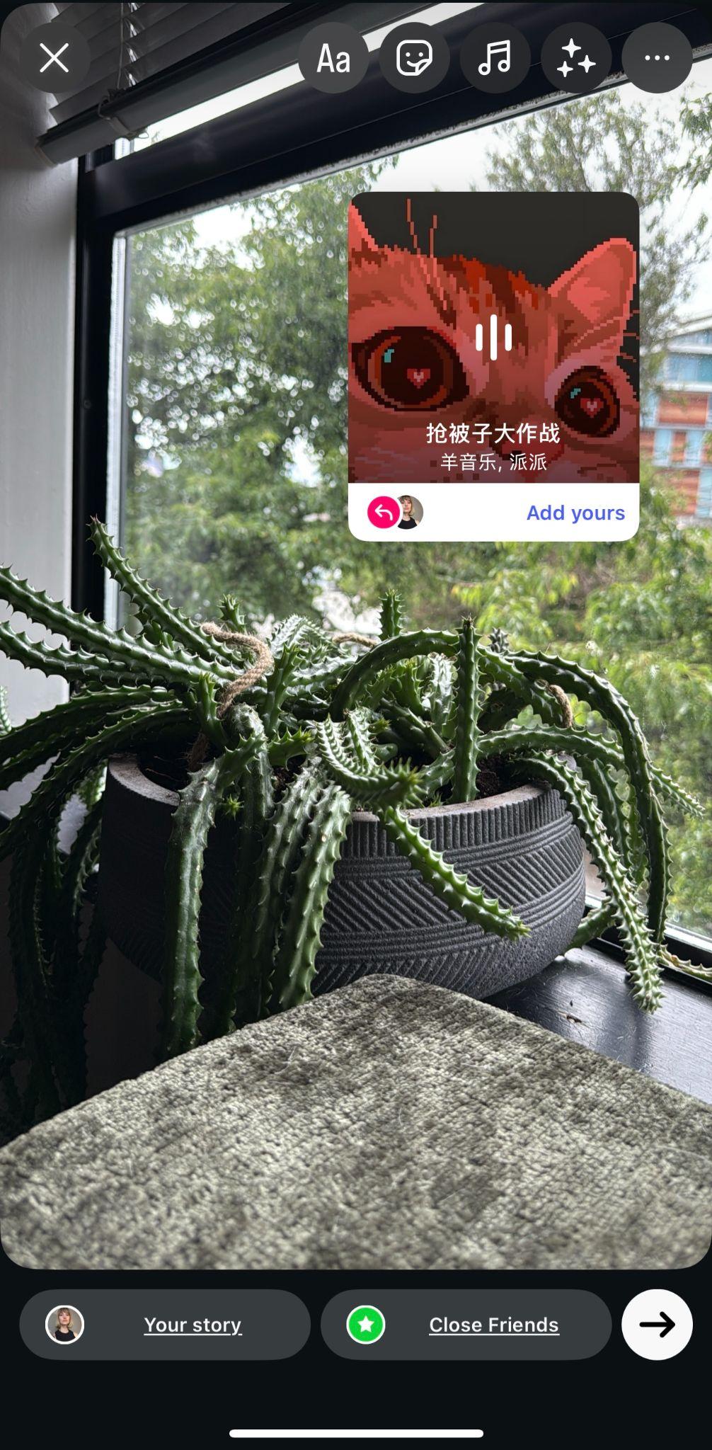 instagram story showing a christmas cactus in a window with an instagram music sticker playing a japanese song and showing a digital cat image