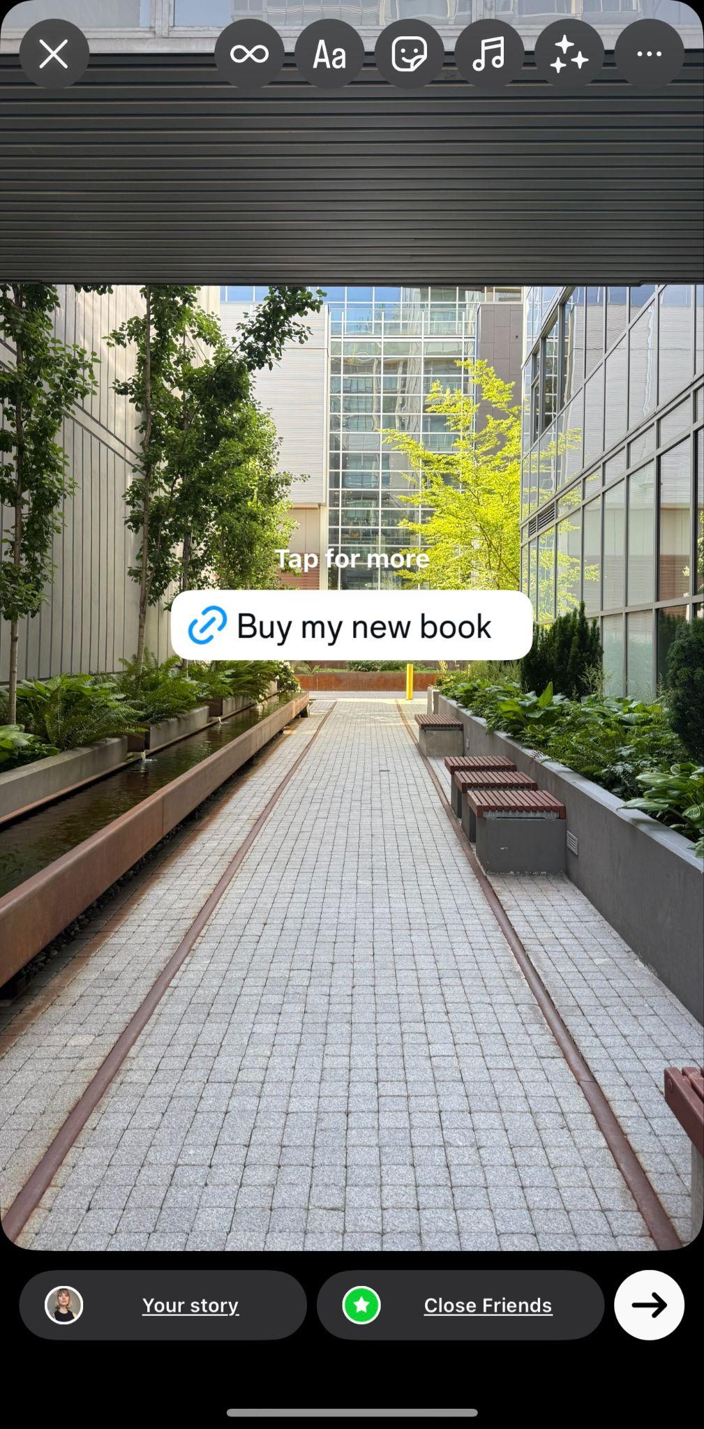 instagram story showing a green walkway and an instagram link sticker that reads "buy my new book"
