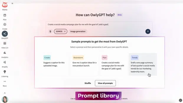 Screenshot of OwlyGPT prompt library