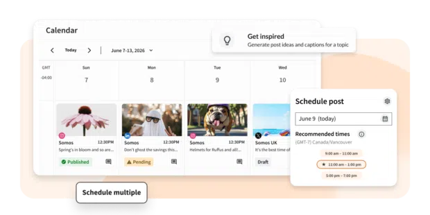 Best social media collaboration tools for 2026