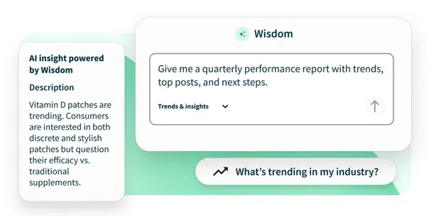 A prompt asking Wisdom to generate a quarterly performance report with trends, top posts, and next steps