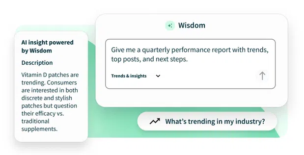 Wisdom chat with prewritten prompts