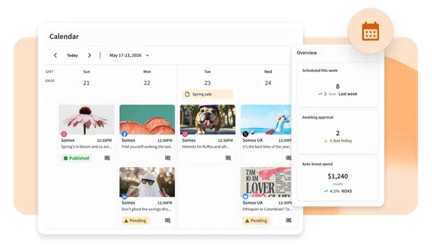 Perch content calendar view