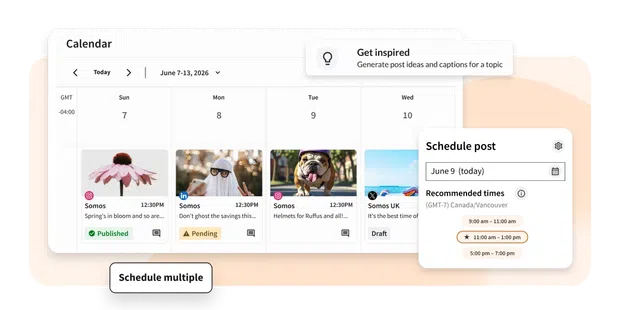Perch content calendar view